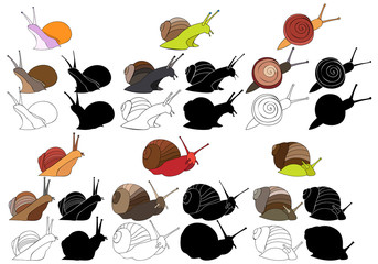 vector, on white background, snail crawling, set