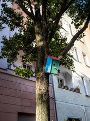 buntes Vogelhaus