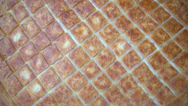 Cutting Cheese Pie Or Pasrty