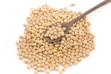 Pile of Soy Beans