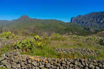 Fototapeta na wymiar La Palma Kanaren canarias canary islands travel reise holiday spain insel vulkan lava atlantik urlaub erholung relax grün grüne