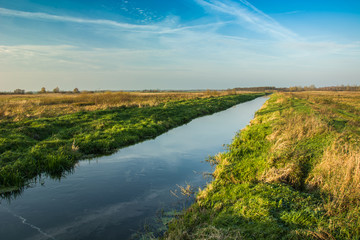 River flowing through a meadow