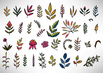 Floral Set of colorful hand drawn grunge floral elements, tree branch, bush, plant, leaves, flowers, branches petals isolated on white. Collection of flourish elements for design. Vector illustration.