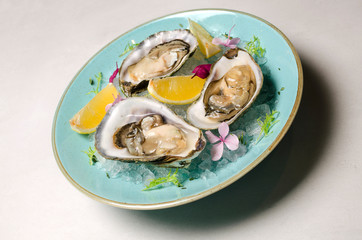 Oysters in ice with flowers and lemon on a blue plate