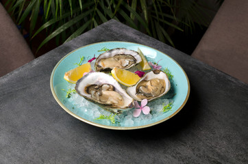Oysters in ice with flowers and lemon on a blue plate