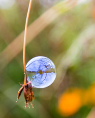 Soap bubble