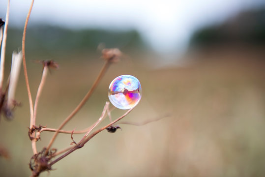 Soap bubble