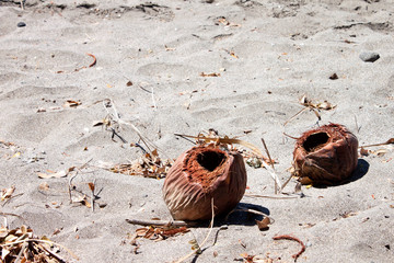 Beach holiday chairs water birds vacation coconuts people