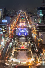 Fototapeta na wymiar テレビ塔から望む大通公園の夜景 / 北海道札幌市の観光イメージ