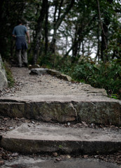 Stone Steps of a Hiking Trail with a Hiker Walking Away
