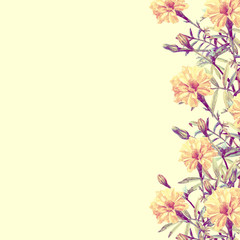 Card with a place for text with flowers marigolds painted in watercolor.