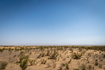 Fototapeta na wymiar desert landscape view near Yazd in Iran