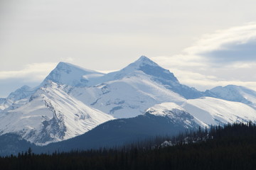 Snow-Covered Mountains, Jasper National Park, Alberta