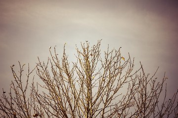 Autumn, depression, melancholy.