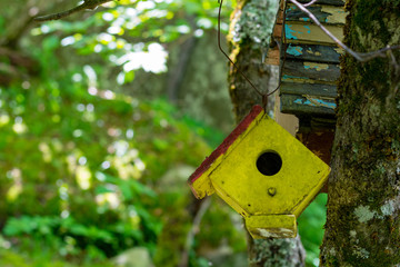 Yellow birdhouse hanging from tree