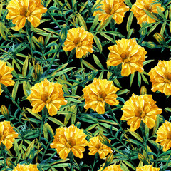 Seamless pattern of marigolds painted in watercolor.