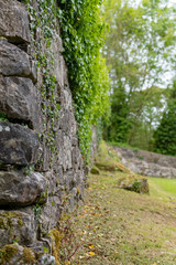 Moss covered stone wall