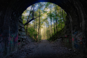 view from the center of an abandoned railroad tunnel