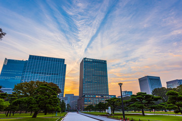 Fototapeta premium 夜明けの高層ビル群 丸ノ内 The sky at daybreak in Marunouchi, Tokyo, Japan