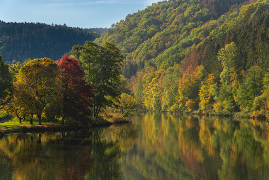 Autumn colors