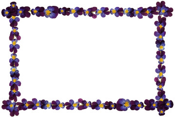 Рама из цветов фиалки на белом изолированном фоне