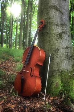 Streichinstrument an einem Baum gelehnt