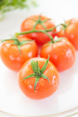 fresh red tomato