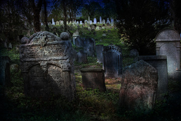 Old Jewish Cemetery, founded probably in 1418. Kol&iacute;n, Czech Republic. The second largest in the Republic - 11276 m2.