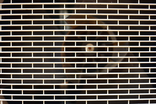 Plastic panels air compressor. Abstract shapes from air compressor.
