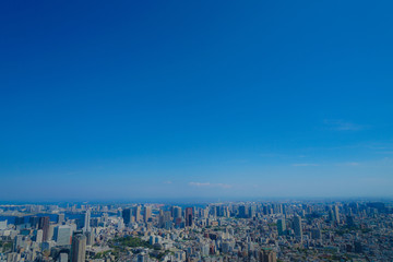 東京の都市風景と青空