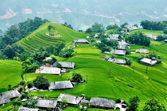 Ban Phung, Hoang Su Phi