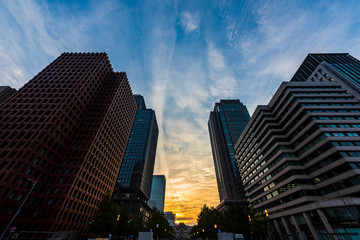 Fototapeta na wymiar 早朝の東京　The sky at daybreak in Marunouchi, Tokyo, Japan