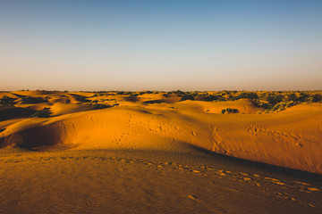 The Thar desert 