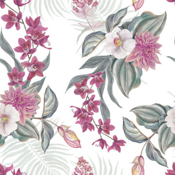 Seamless hand illustrated floral pattern with pink Medinilla Magnifica. Watercolor botanical background