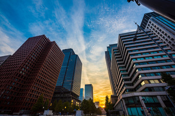 早朝の東京　The sky at daybreak in Marunouchi, Tokyo, Japan