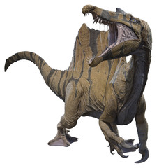 A 3D rendering of Spinosaurus.