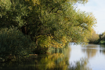 Fototapeta premium Herbstzeit am Fluss