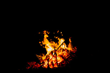 Forest fire silhouette Black background light