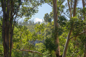 Landscape close to serpentine falls in Perth