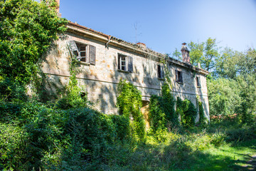 Exterior of derelict empty house in the forest