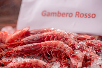 Fresh red Prawns ready to cook with ice