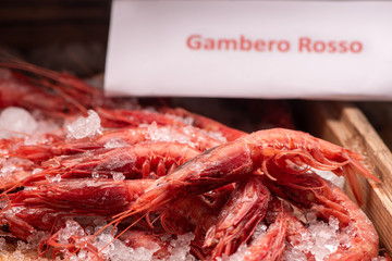 Fresh red Prawns ready to cook with ice