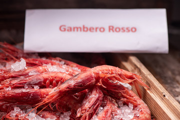 Fresh red Prawns ready to cook with ice