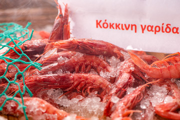 Fresh red Prawns ready to cook with ice