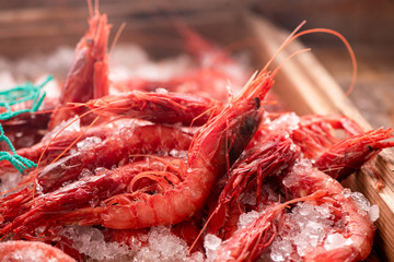 Fresh red Prawns ready to cook with ice