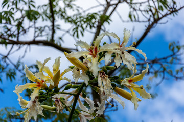 Urlaub, Mallorca, Valldemossa, Starand, Meer, Möven, Zitronen, Berge, Blumen, Wandern, Reisen