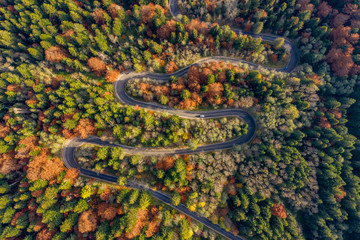 Winding road trough the forest in the autumn. Aerial photography