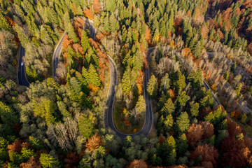 Winding road trough the forest in the autumn. Aerial photography