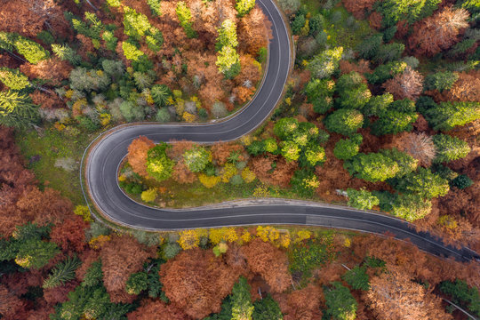 Curved winding road surrounded by forest in the Carpathian Mountains
