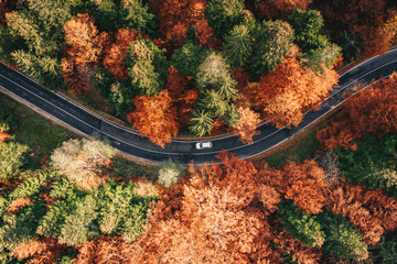 Auto auf der Straße, umgeben von Wald im Herbst. Karpaten, Rumänien